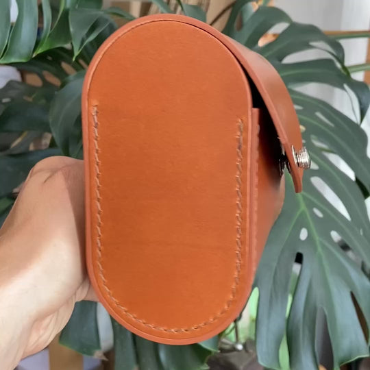 Leather Front carrier bag for Brompton honey color products video